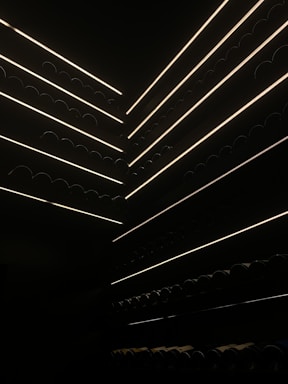 Several rows of wine bottles are stacked horizontally in a dimly lit storage area with narrow strips of light illuminating the shelves. The scene creates a sharp contrast between the dark environment and the subtle, glowing lines that highlight the outlines of the bottles.