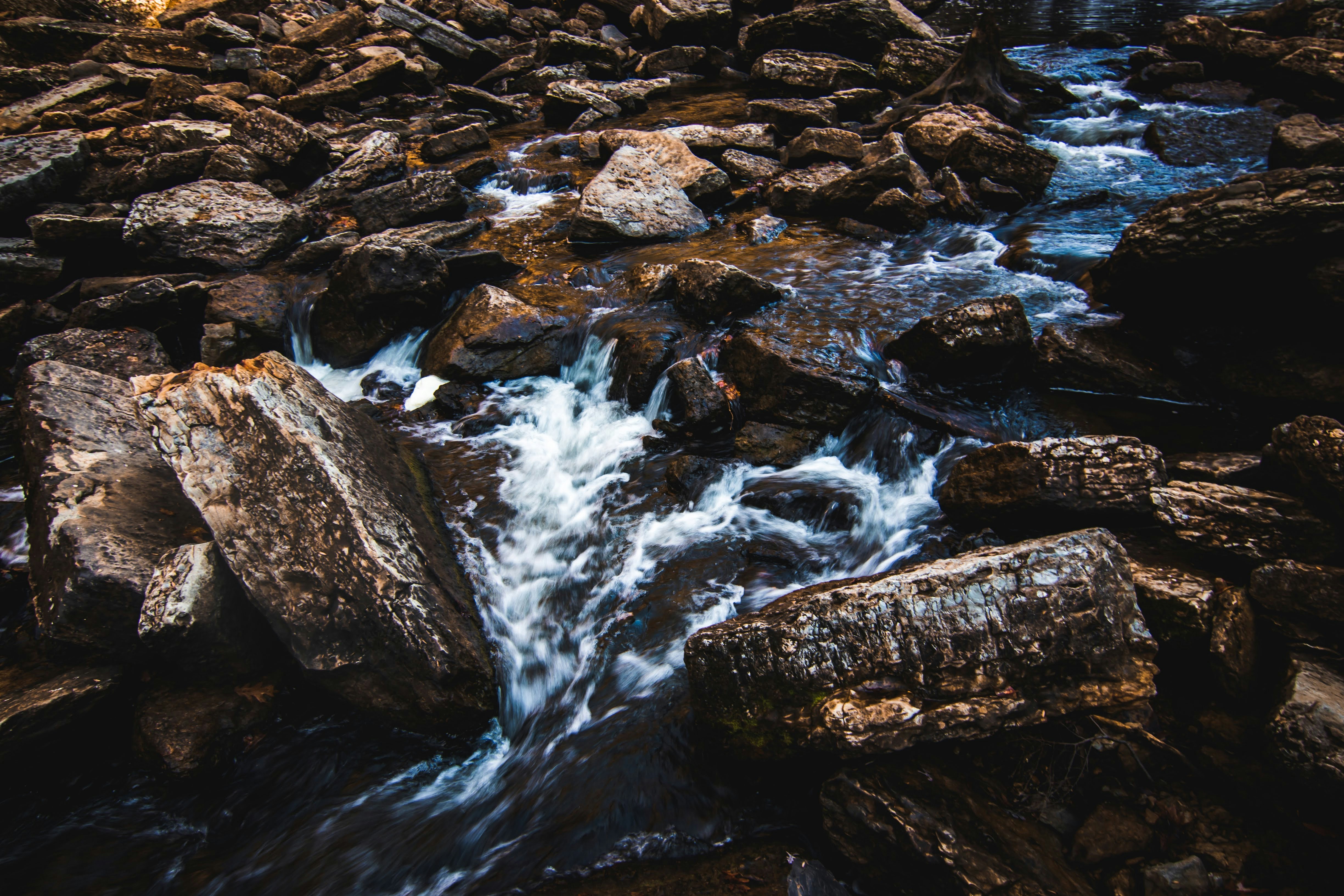 Photo by brice_cooper18