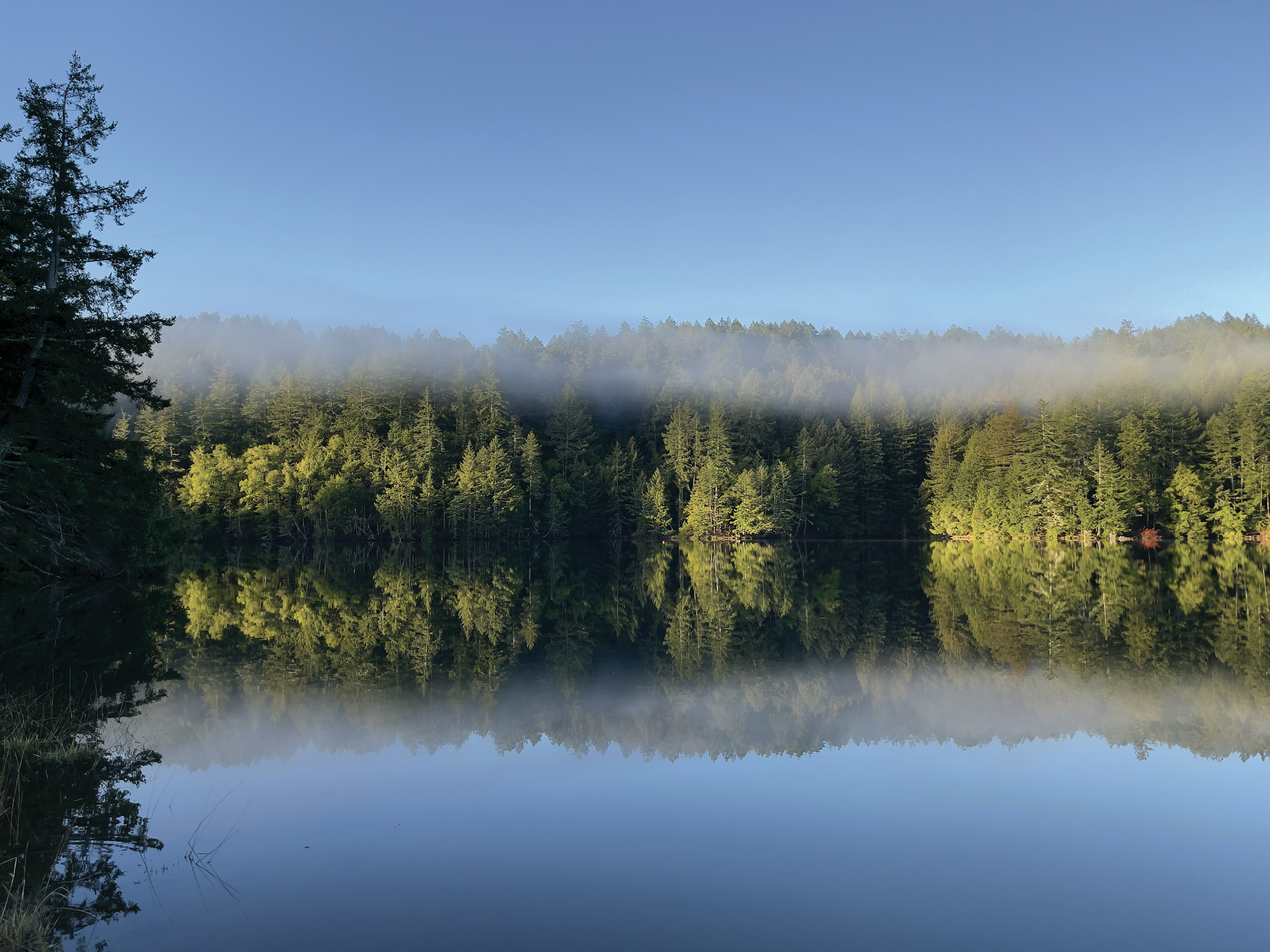 Ein See, umgeben von Bäumen