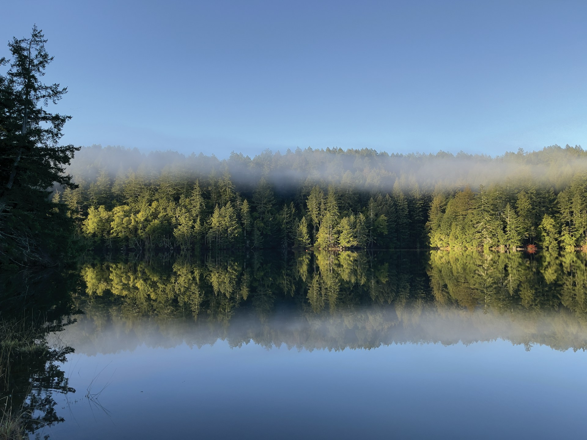 a lake surrounded by trees