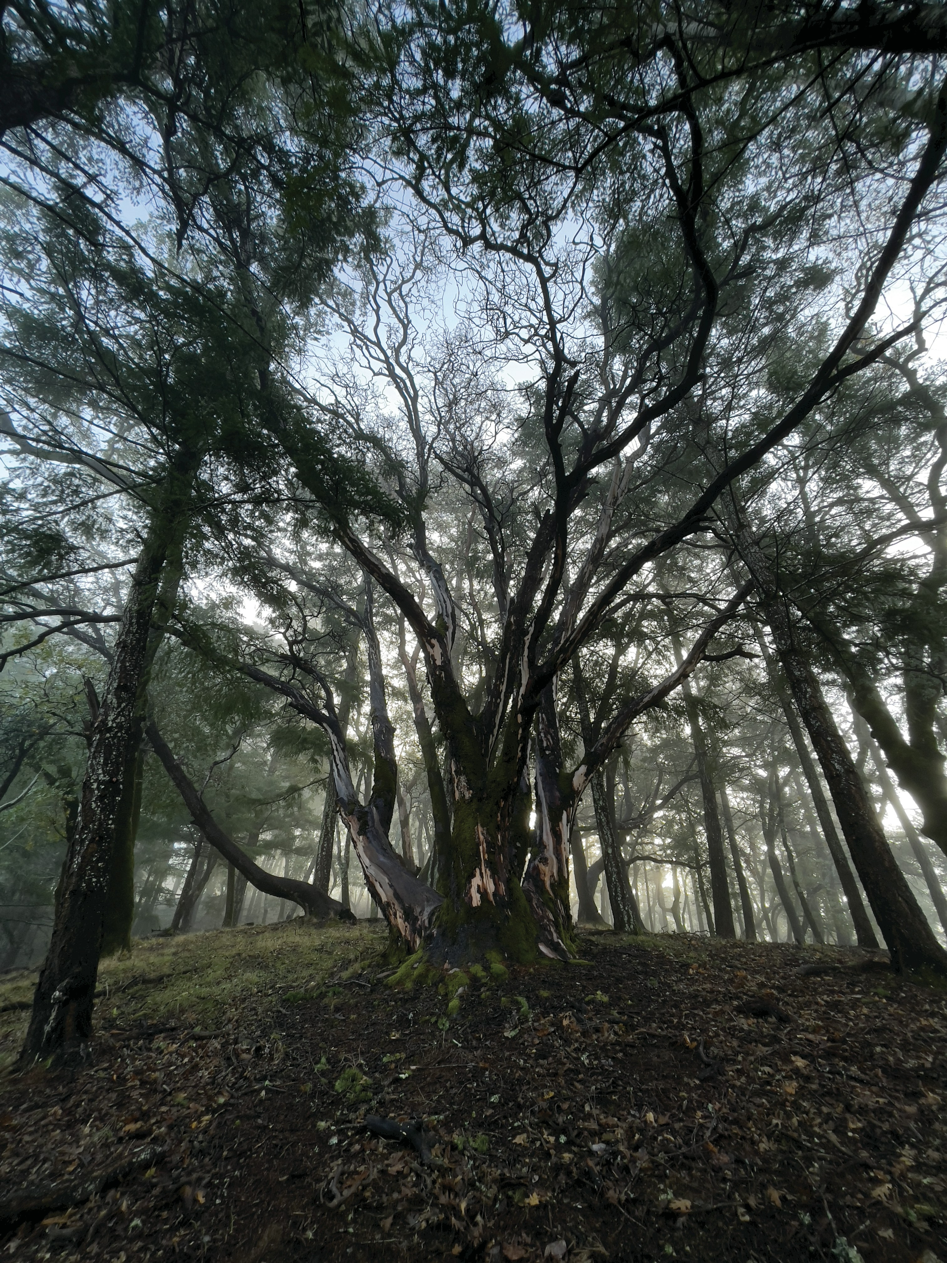 Photo by citizenswain