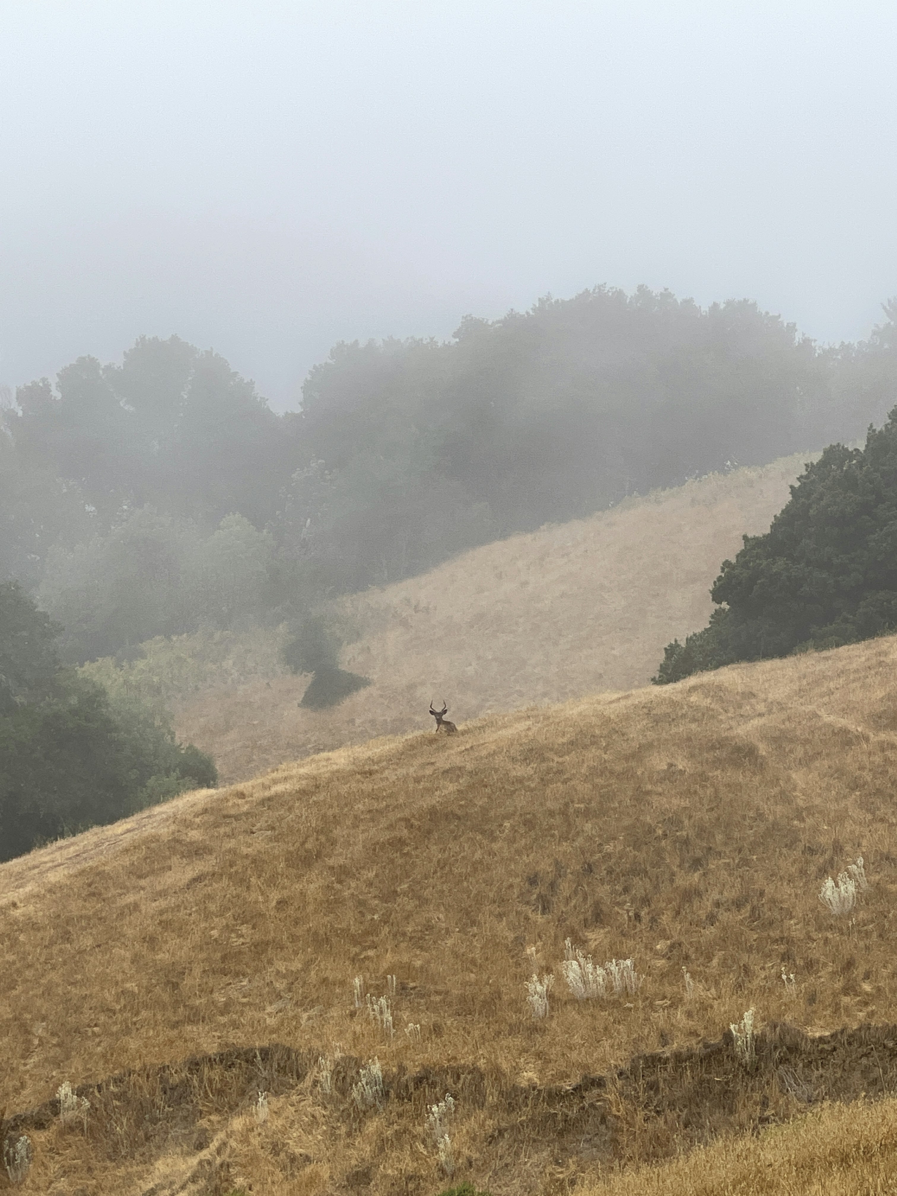 a person walking on a hill