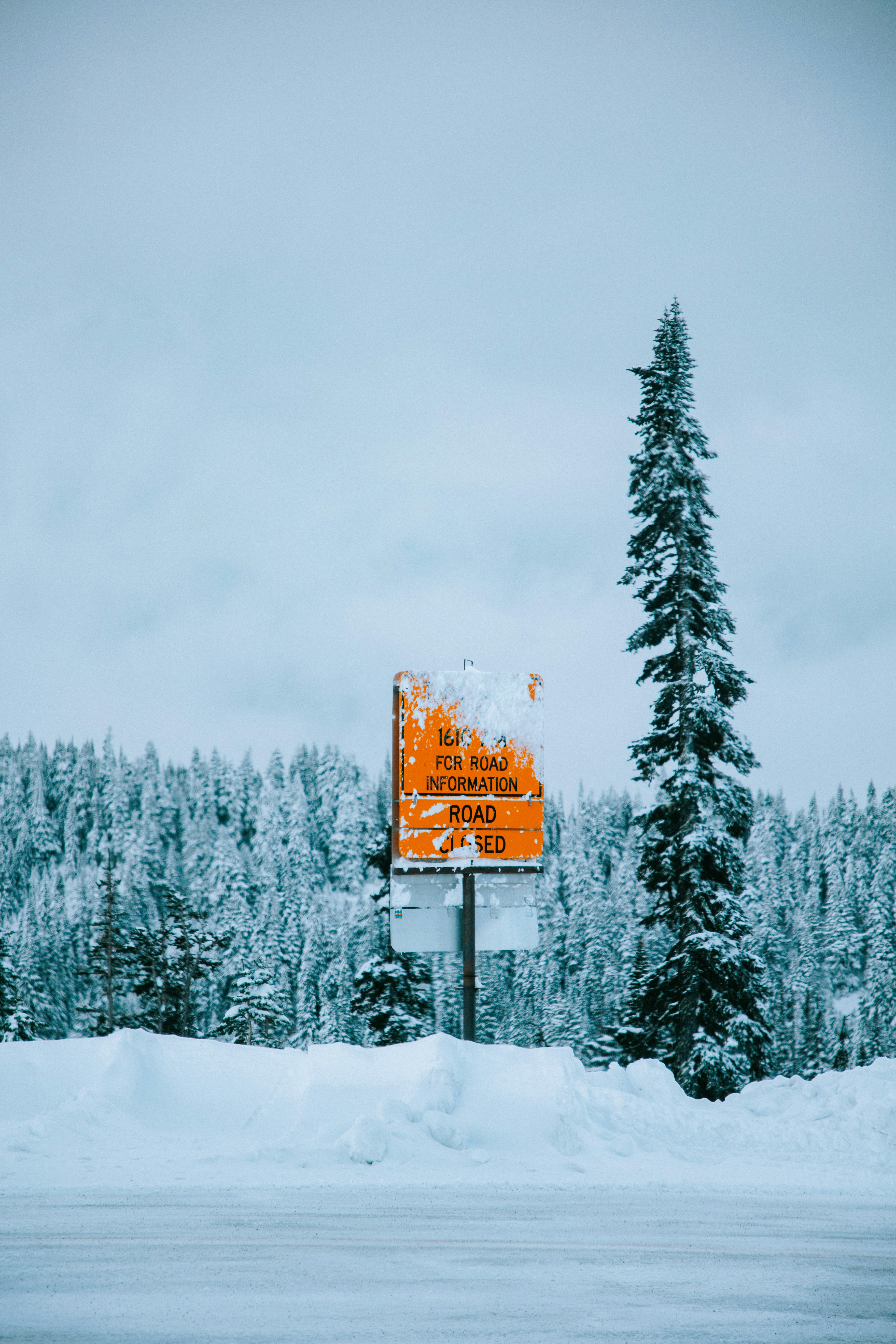 Ein Zeichen im Schnee