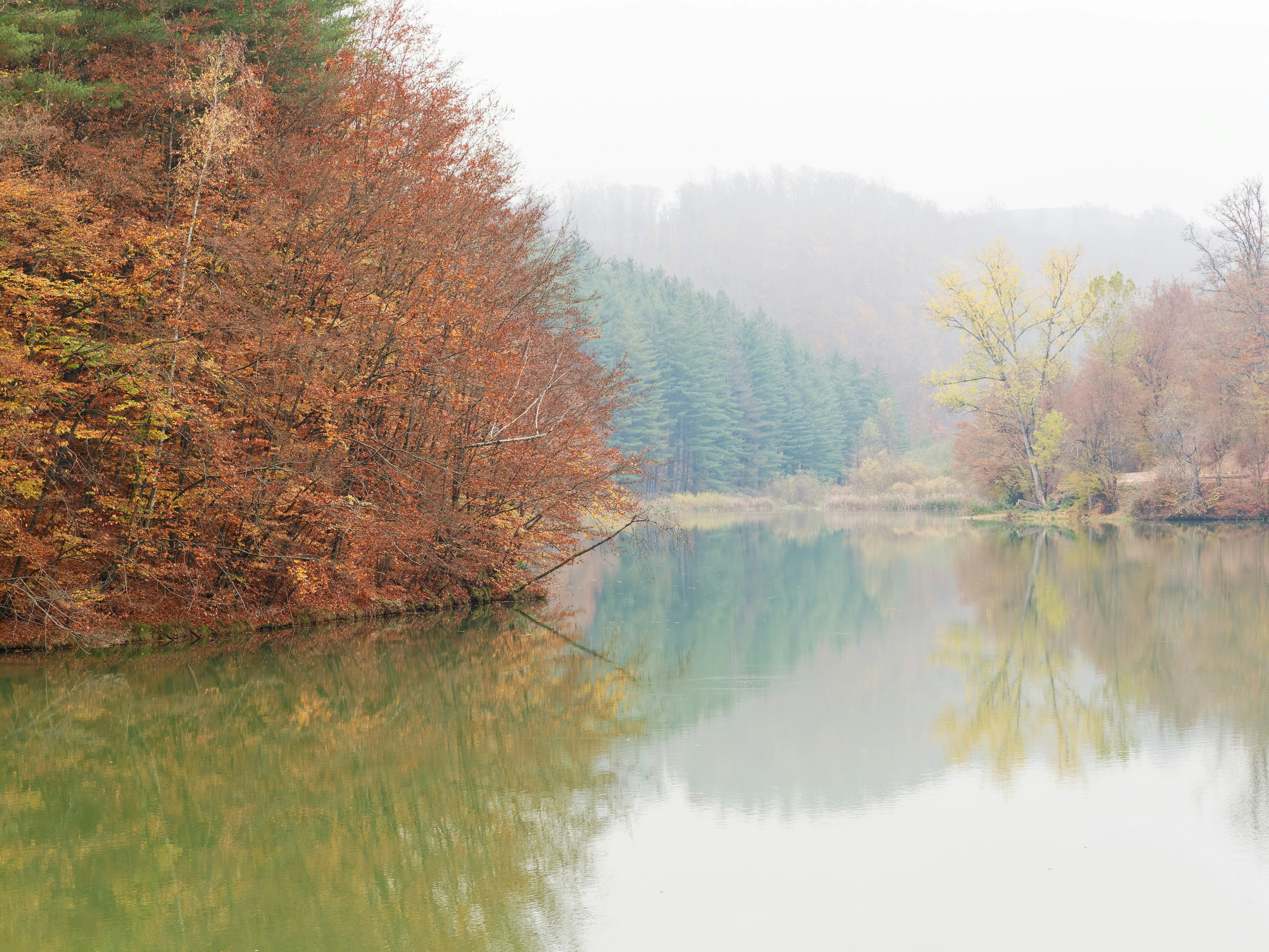 Photo by illes_cristi