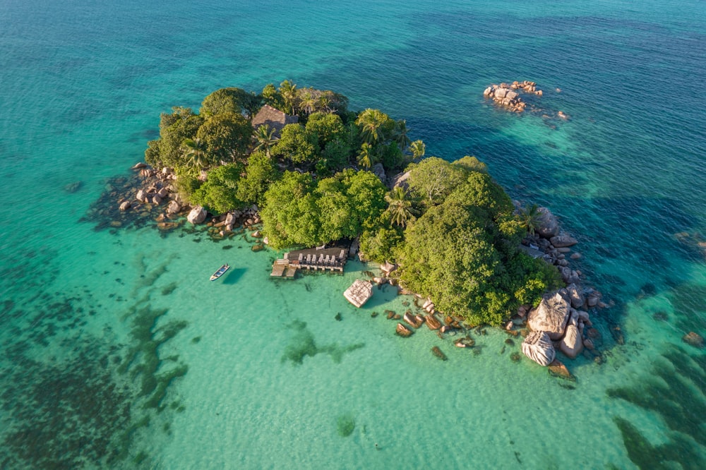 an island with trees and houses