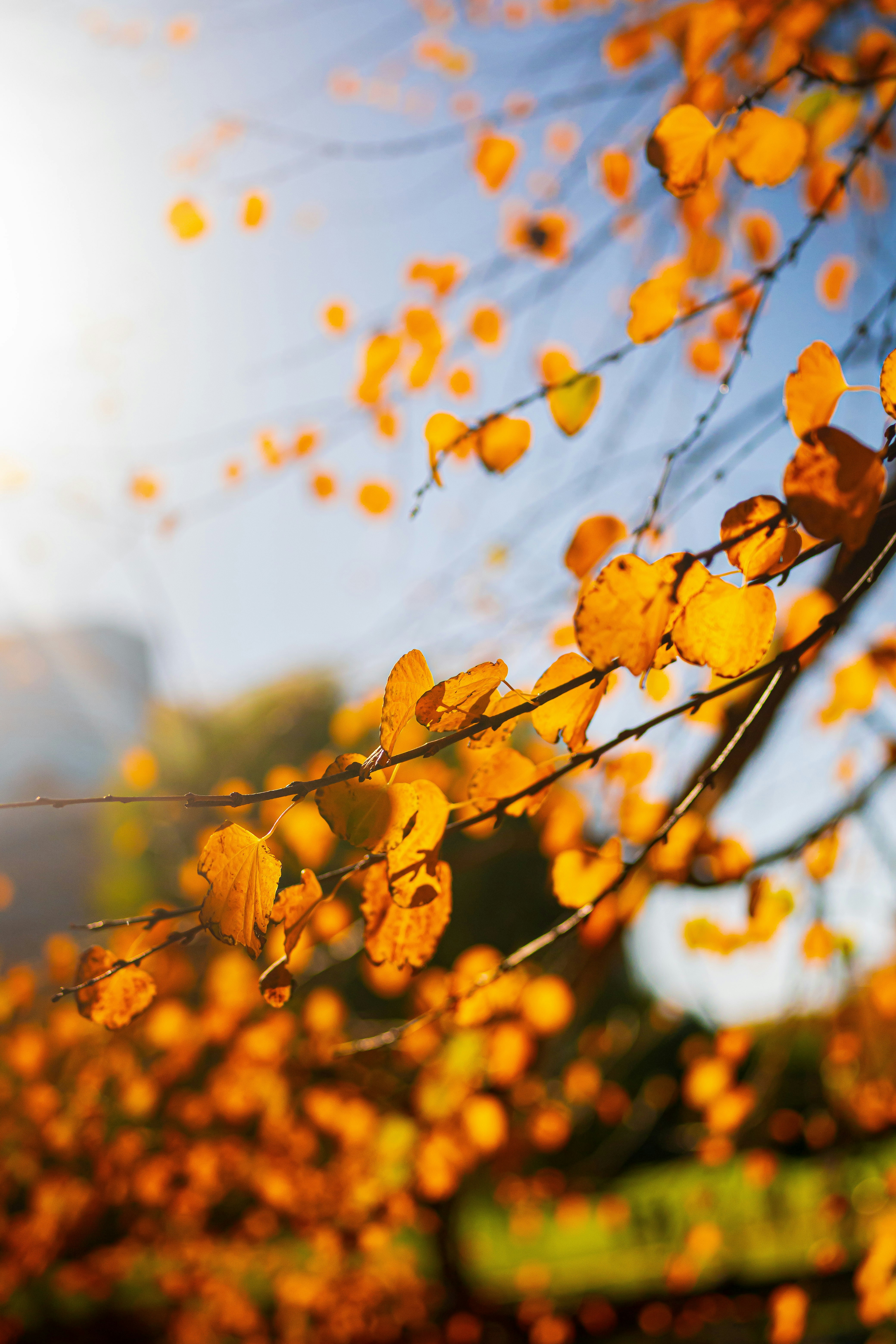 Photo by joshmccausland