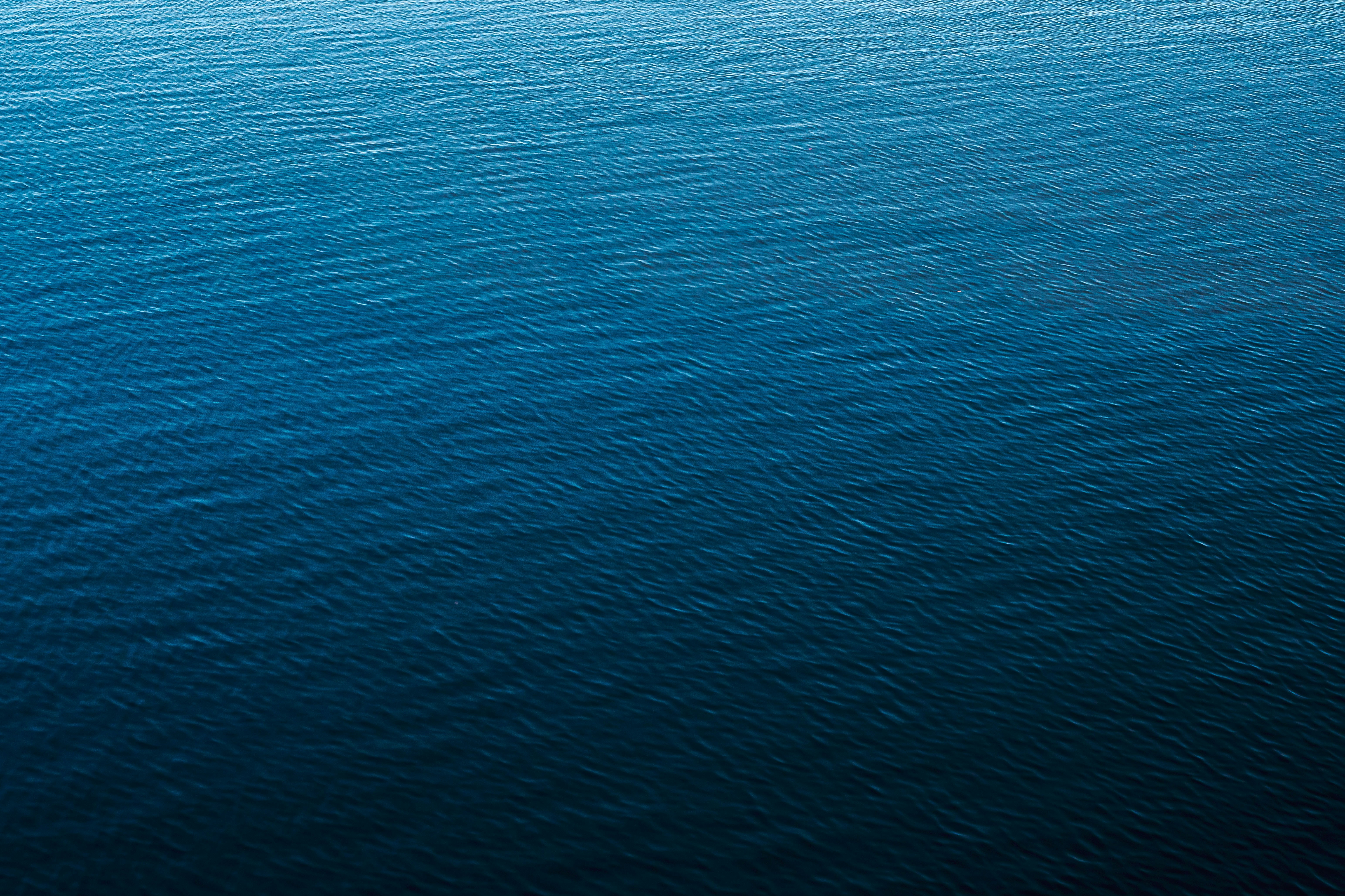 Photo by joshmccausland