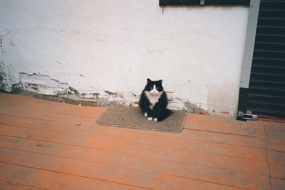 a cat sitting on a mat