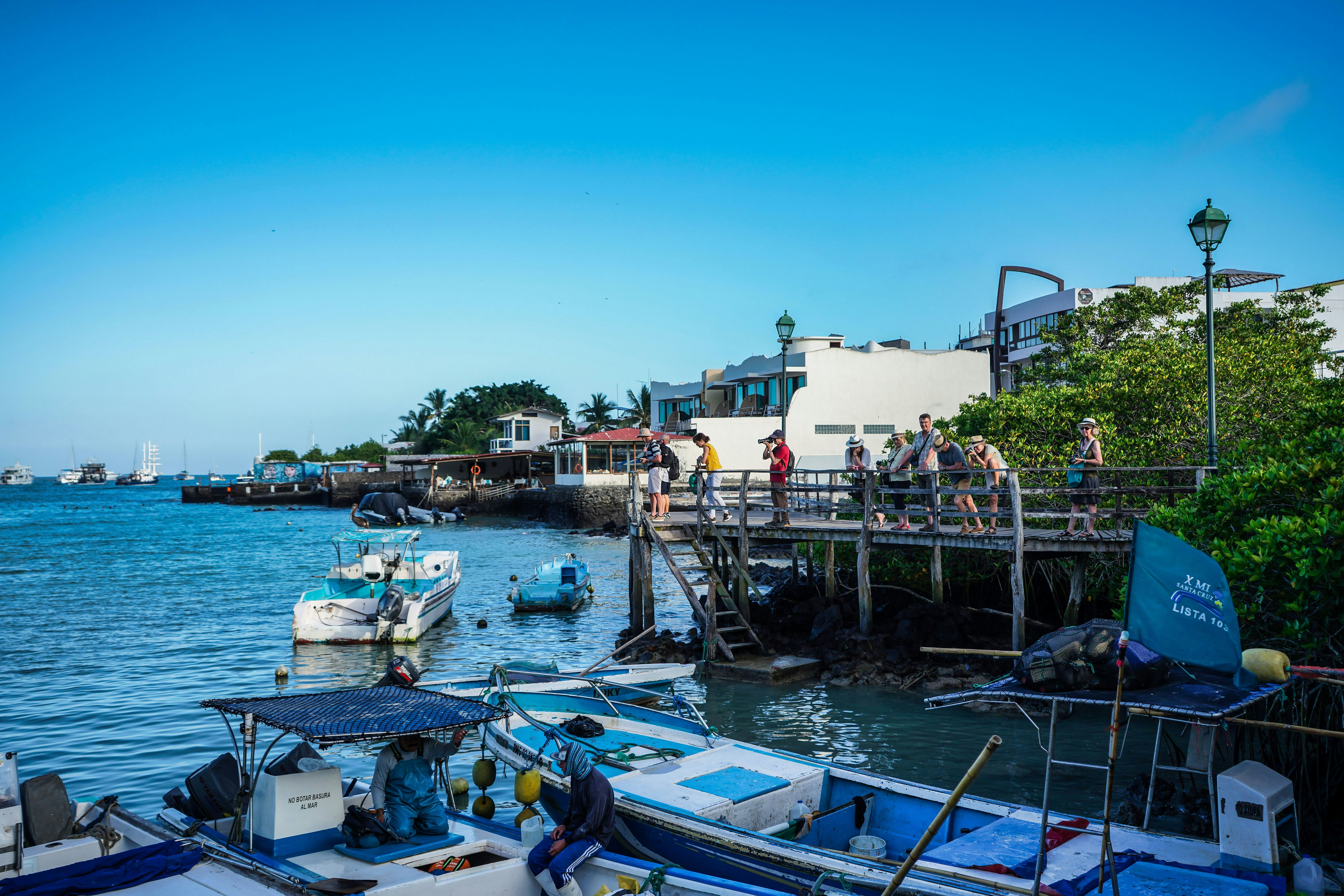 Photo by kiyoshi_jpg