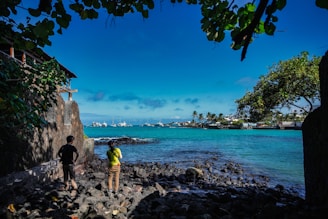 a couple of people standing on a rocky beach looking at the ocean