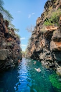 people swimming in a pool of water