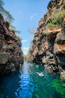 people swimming in a pool of water