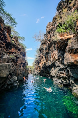 people swimming in a pool of water