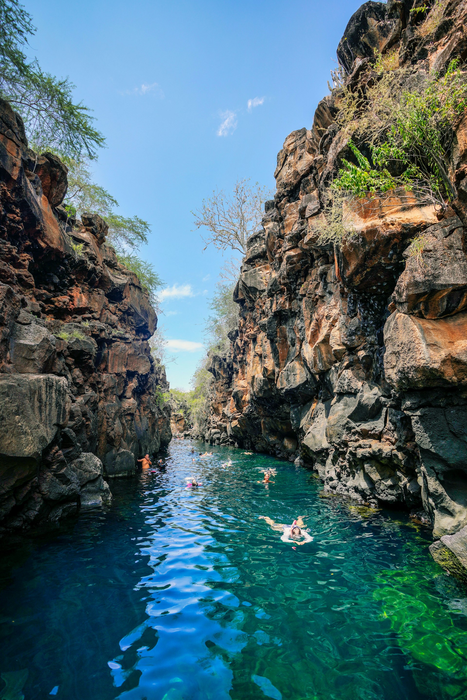 people swimming in a pool of water