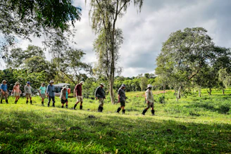 a group of people walking in a field