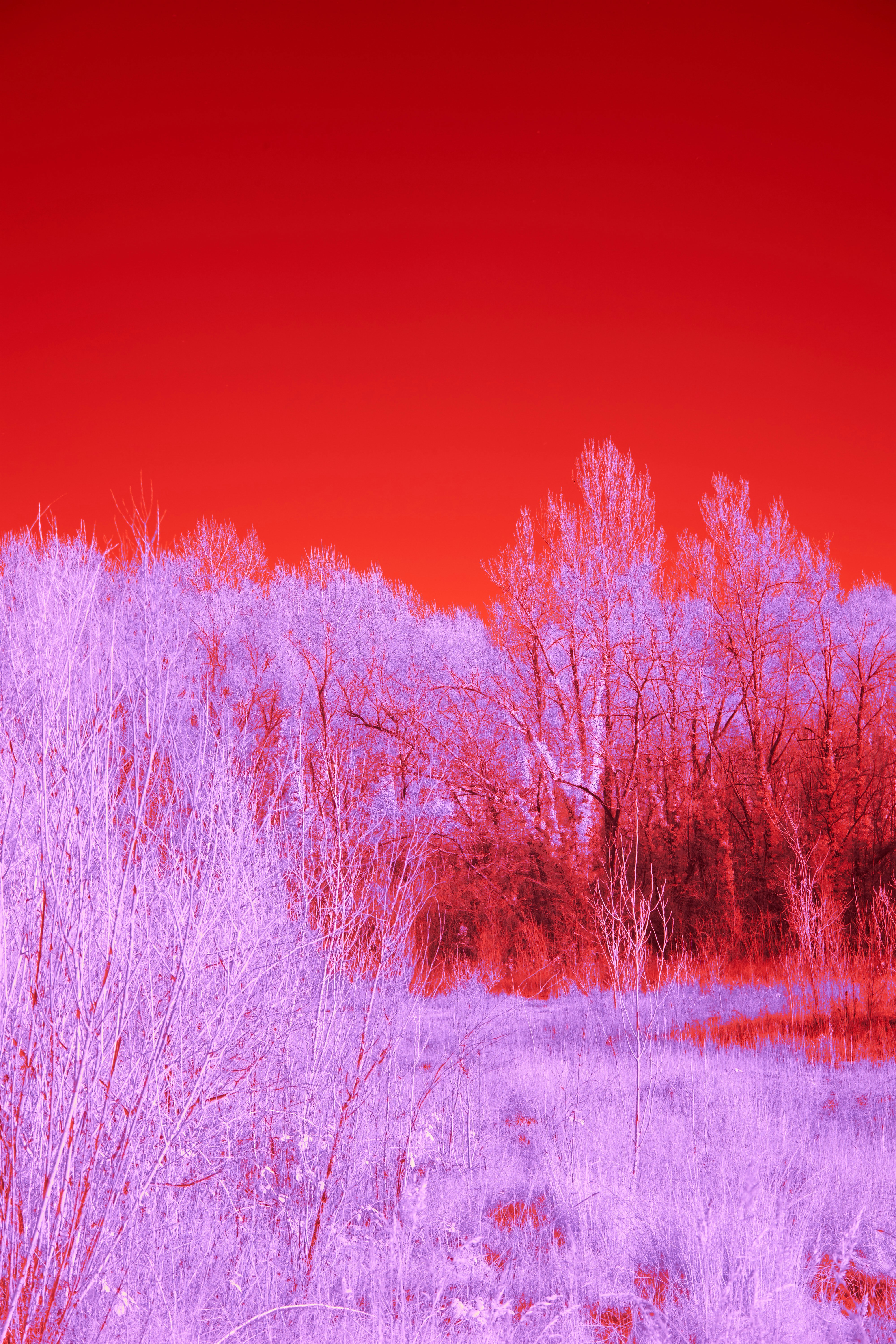 Photo by wolfgang_hasselmann