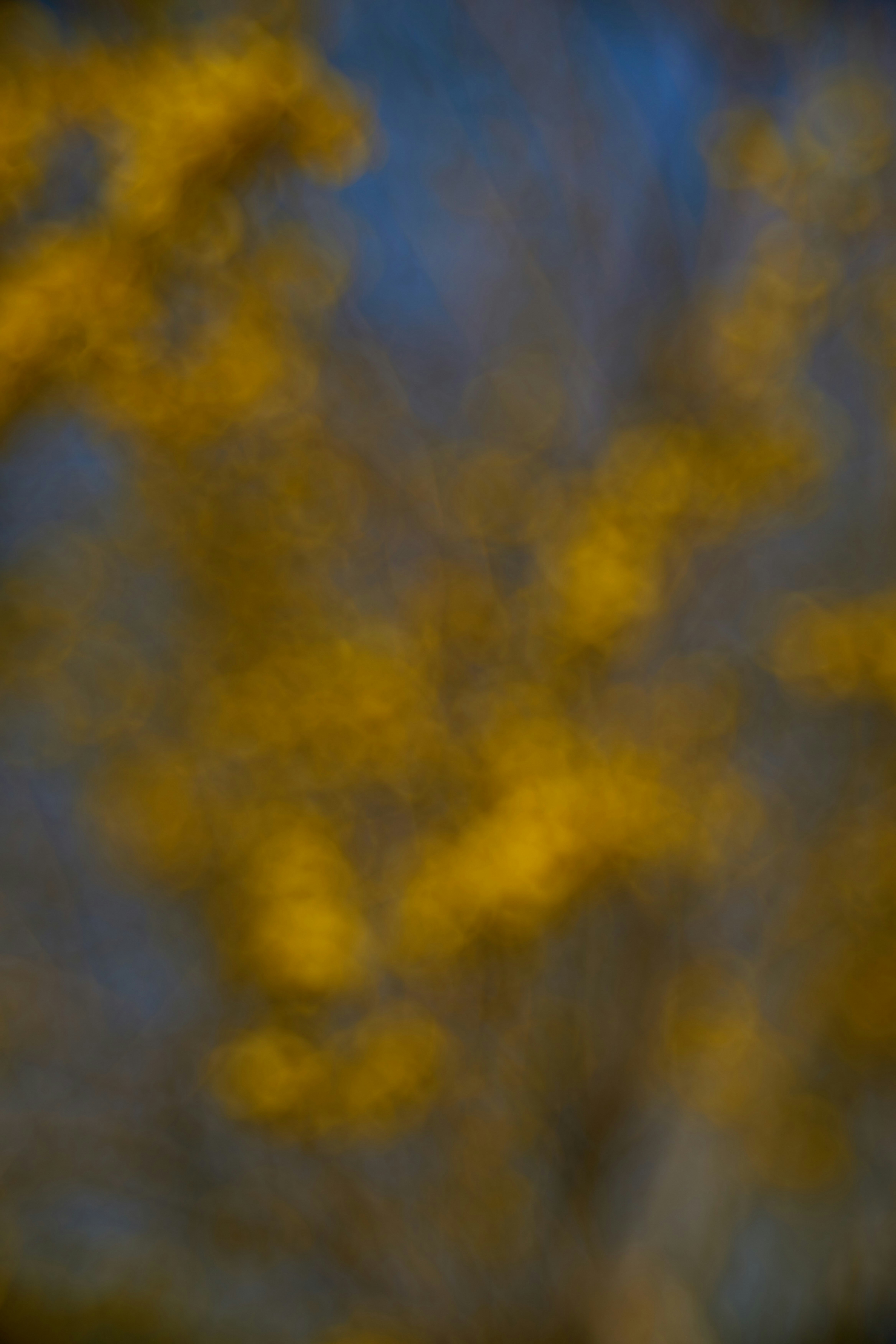 Photo by wolfgang_hasselmann