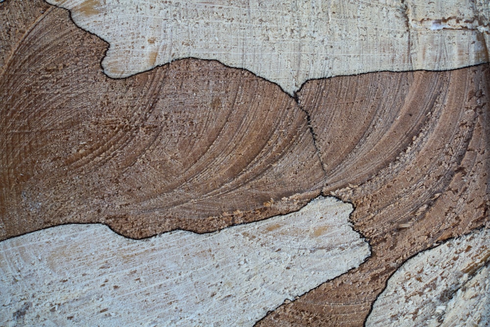 a close-up of some wood