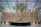 A Middle Eastern interior designer reviewing artificial plant samples in a bright showroom.
