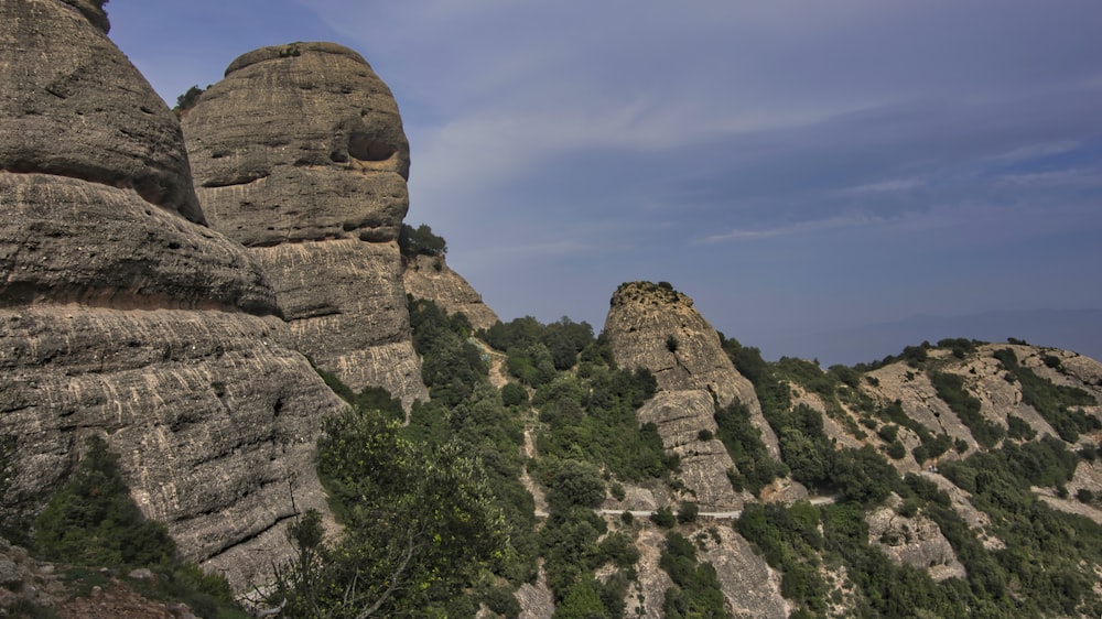 a rocky cliff with trees