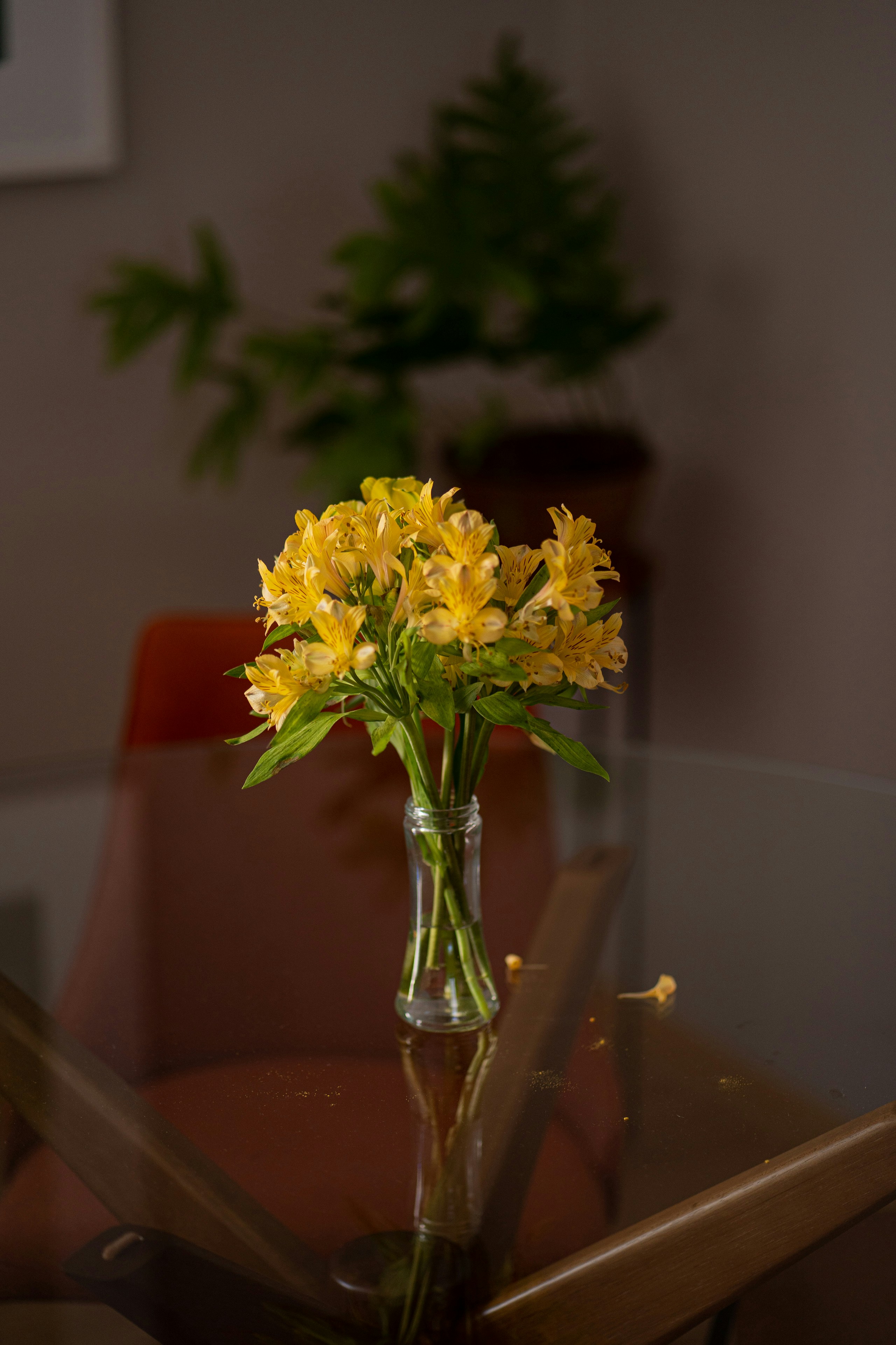 Photo by filipe_cantador