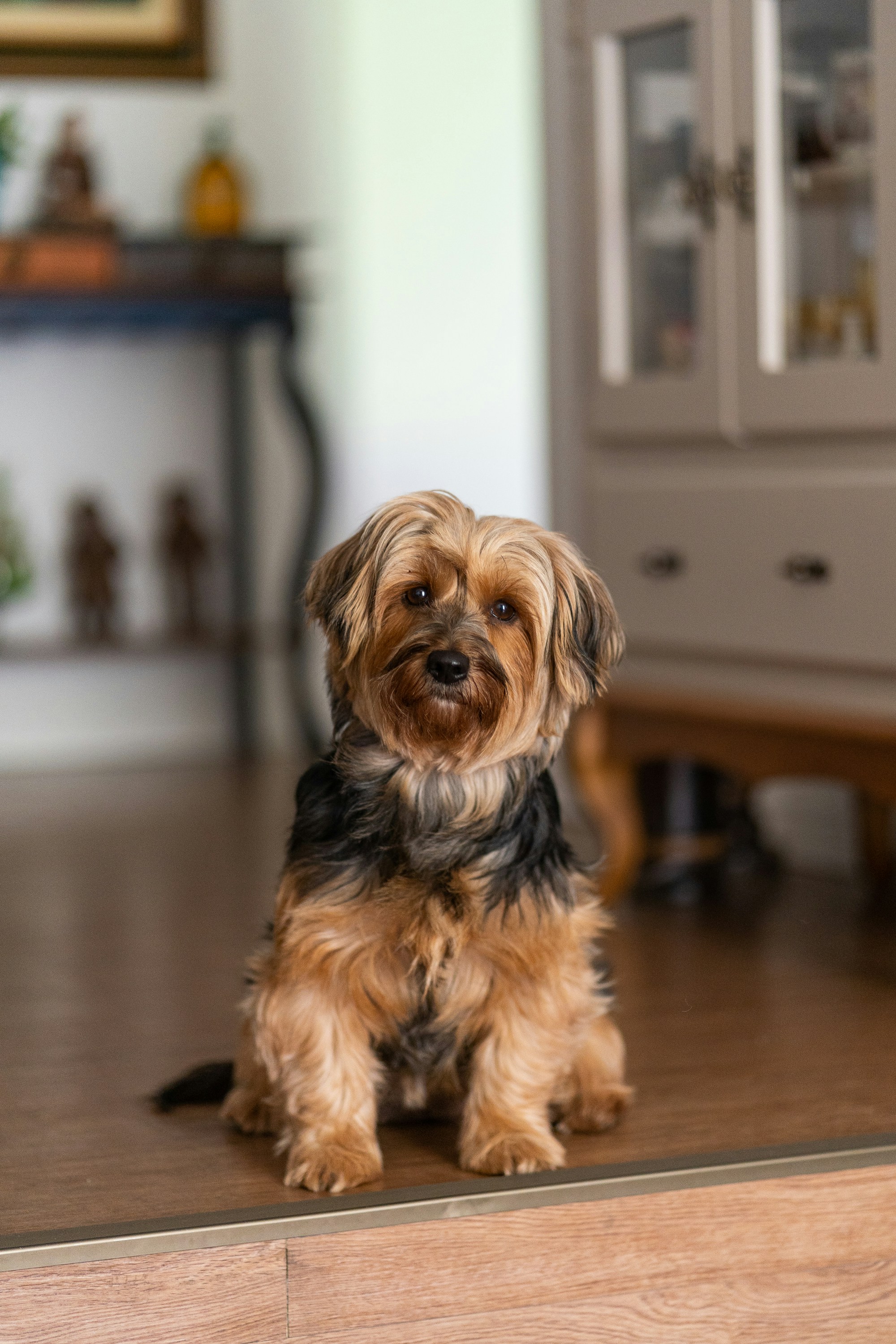 Photo by filipe_cantador