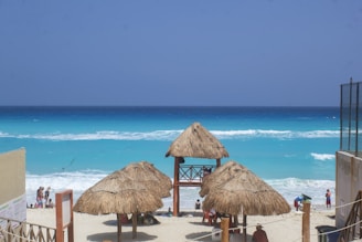 straw umbrellas on a beach