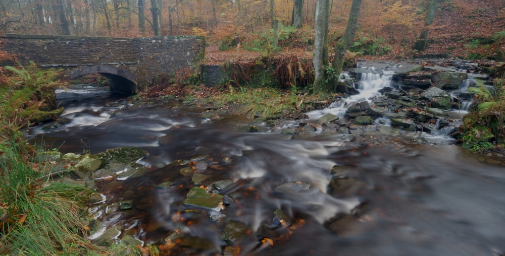 a small river with a bridge