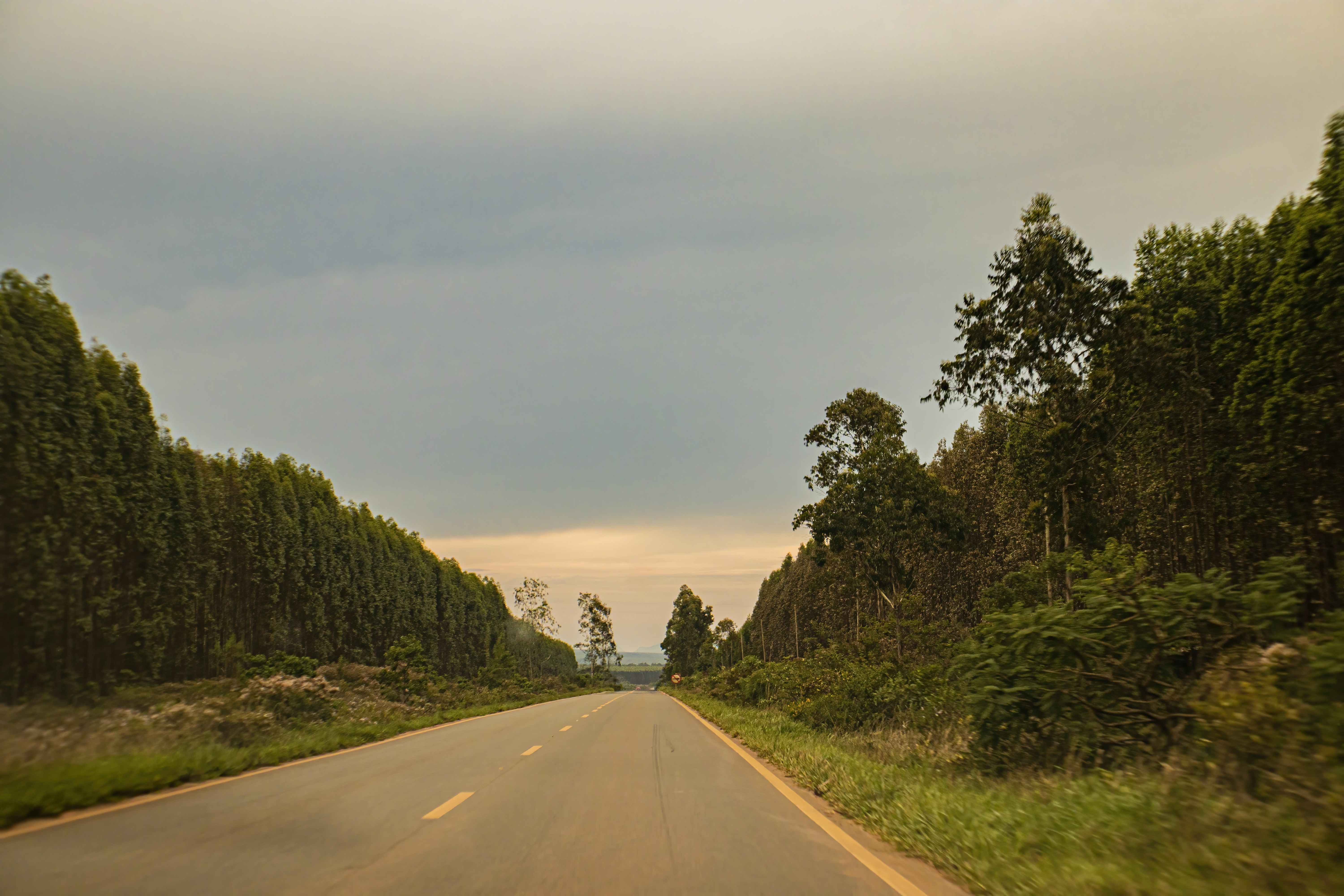 Photo by hicarodecastro