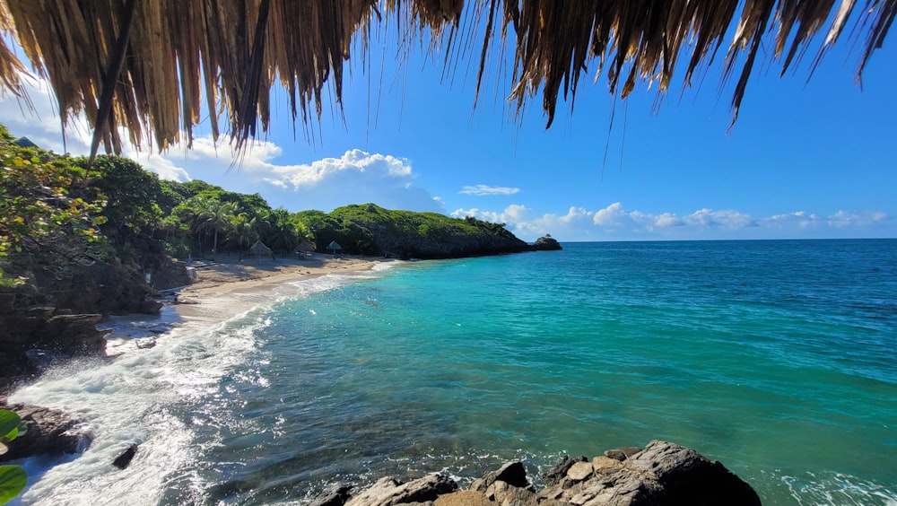 a tropical beach with a tropical island