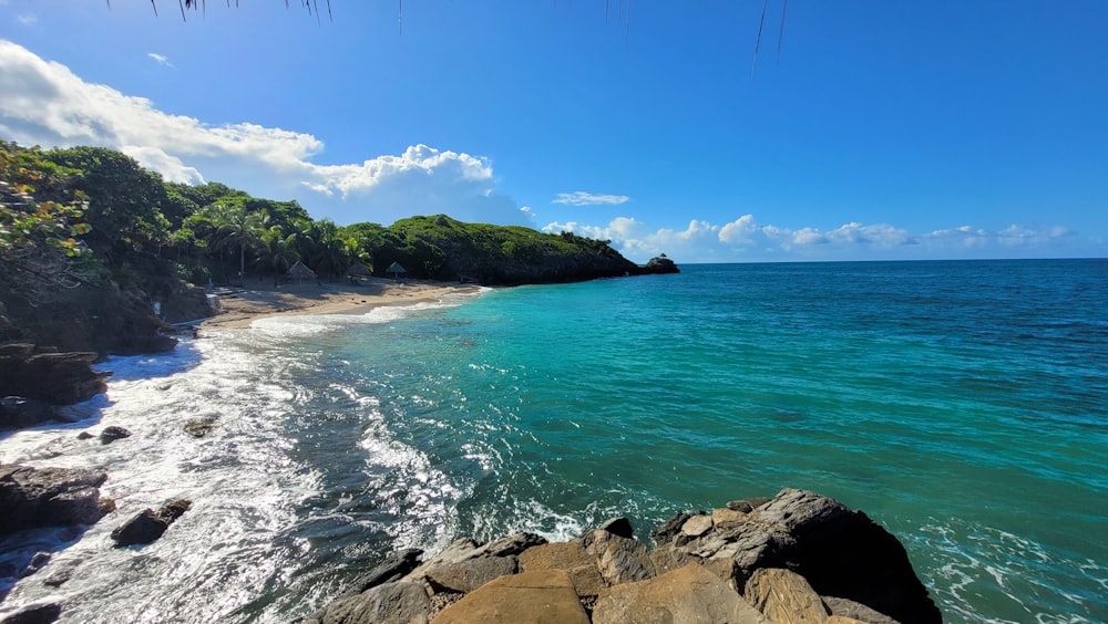 a rocky beach with a body of water and trees on the side