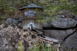 A wooden structure with a sign reading 'Raccoon Mountain Mining Co. 1931' is built against a rocky hillside surrounded by foliage. The structure appears weathered and features a metal pipe and a wooden chute extending downward. Bushes with white flowers are in the foreground.