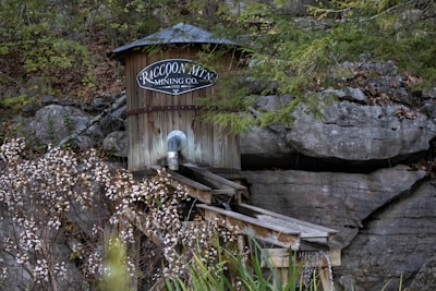 A wooden structure with a sign reading 'Raccoon Mountain Mining Co. 1931' is built against a rocky hillside surrounded by foliage. The structure appears weathered and features a metal pipe and a wooden chute extending downward. Bushes with white flowers are in the foreground.