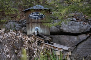 A wooden structure with a sign reading 'Raccoon Mountain Mining Co. 1931' is built against a rocky hillside surrounded by foliage. The structure appears weathered and features a metal pipe and a wooden chute extending downward. Bushes with white flowers are in the foreground.