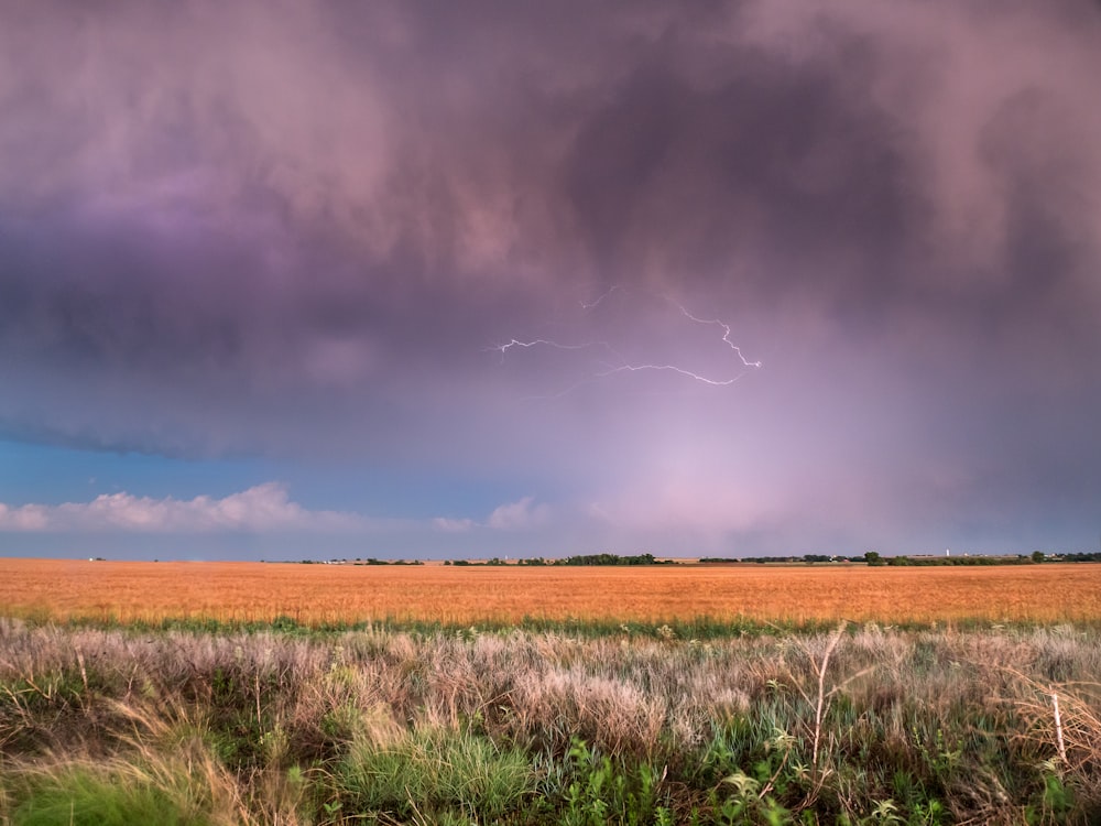 Un campo con relámpagos en el cielo