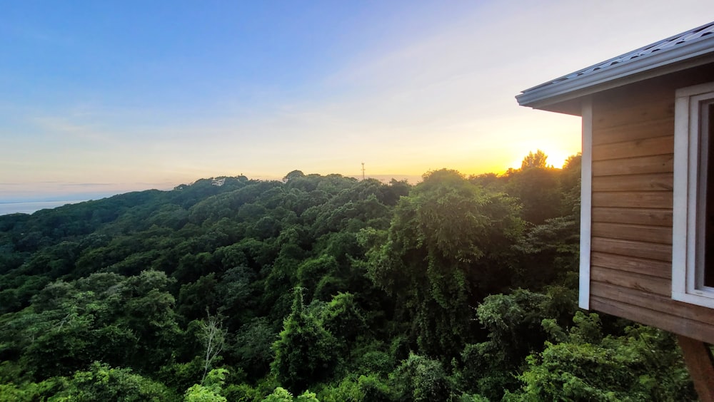 a house with trees in the back