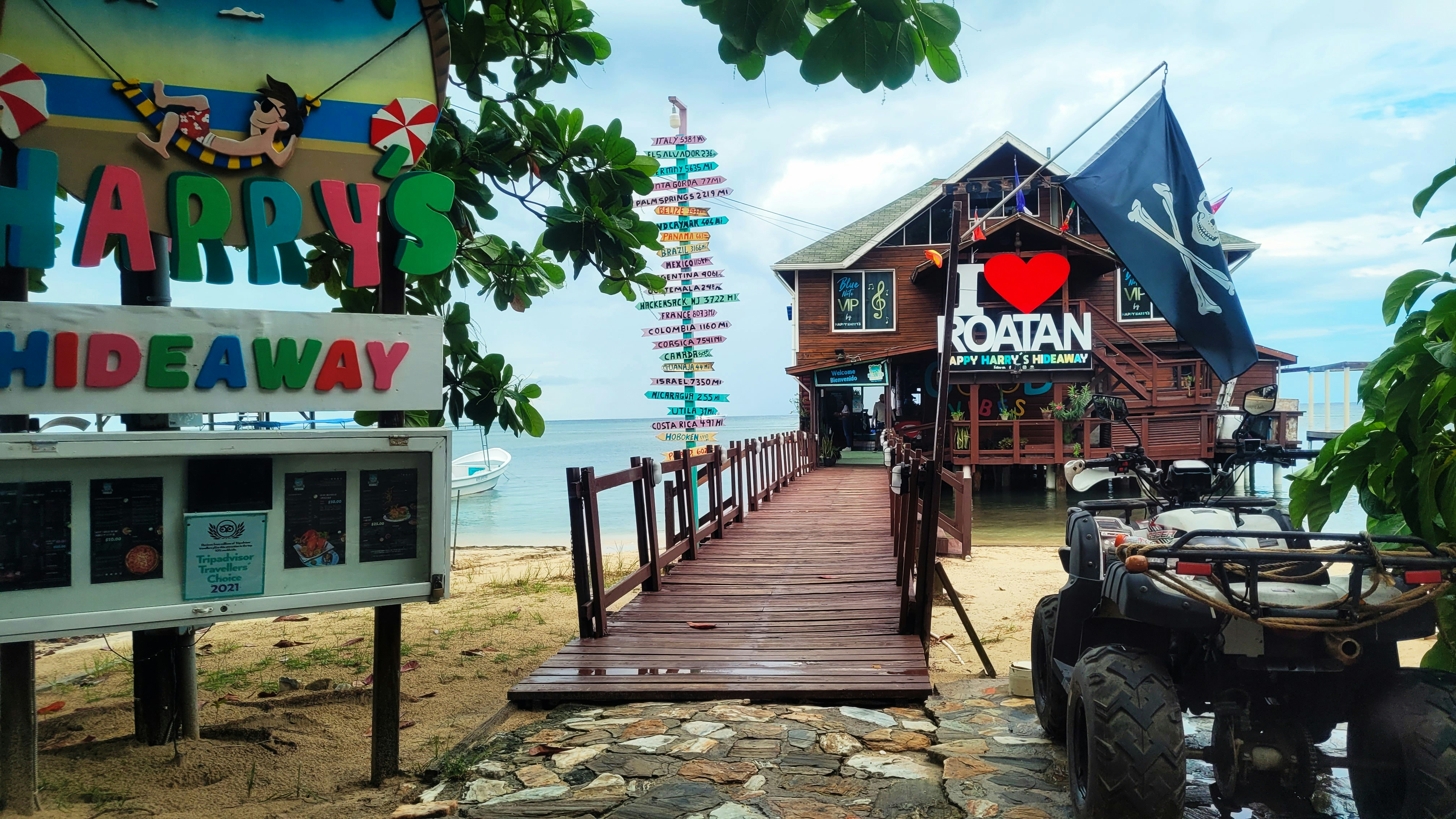 Best Bars In West End Roatan You Need To Try