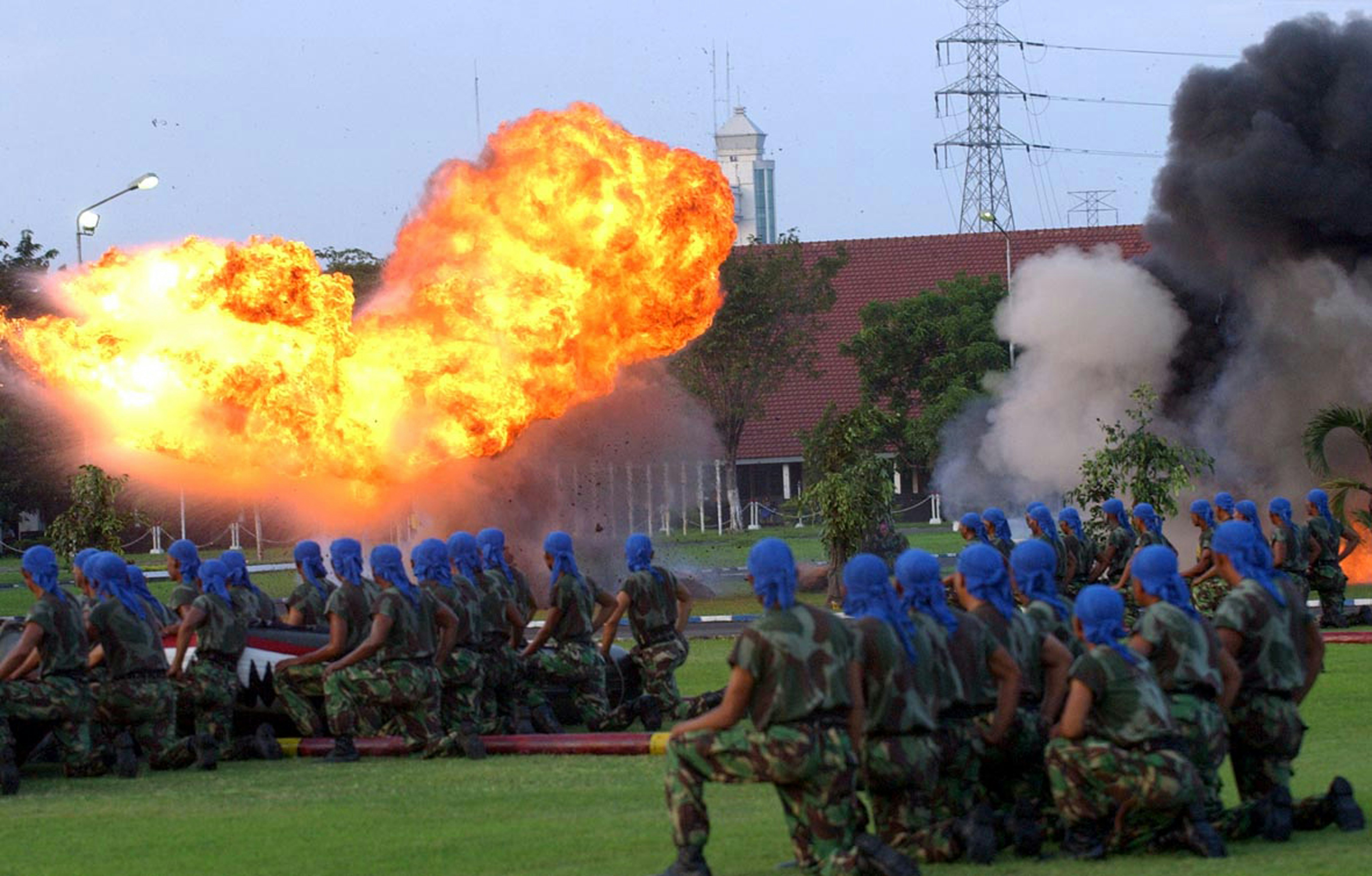 Professional tax advisors