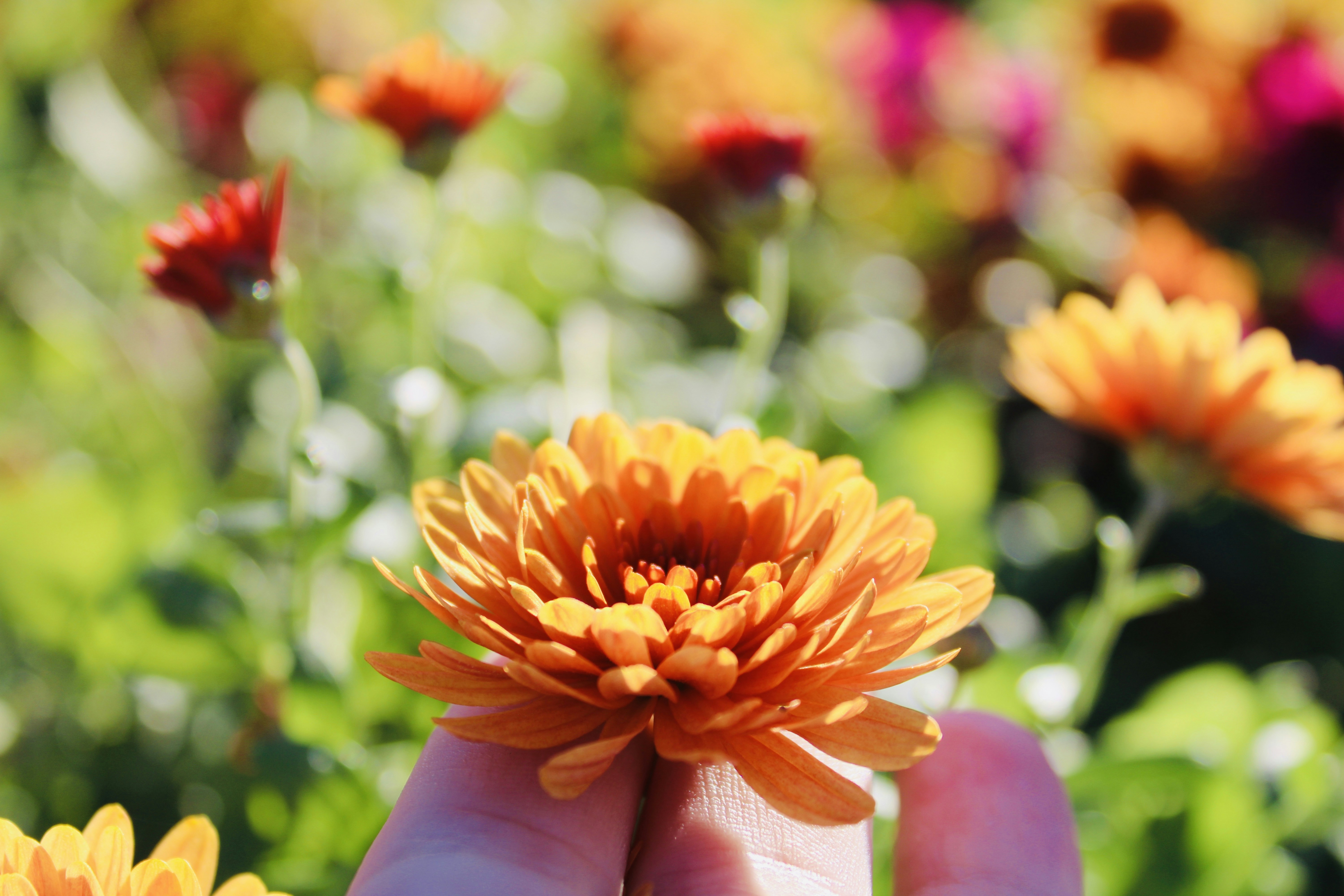 Photo by aubr33johnson