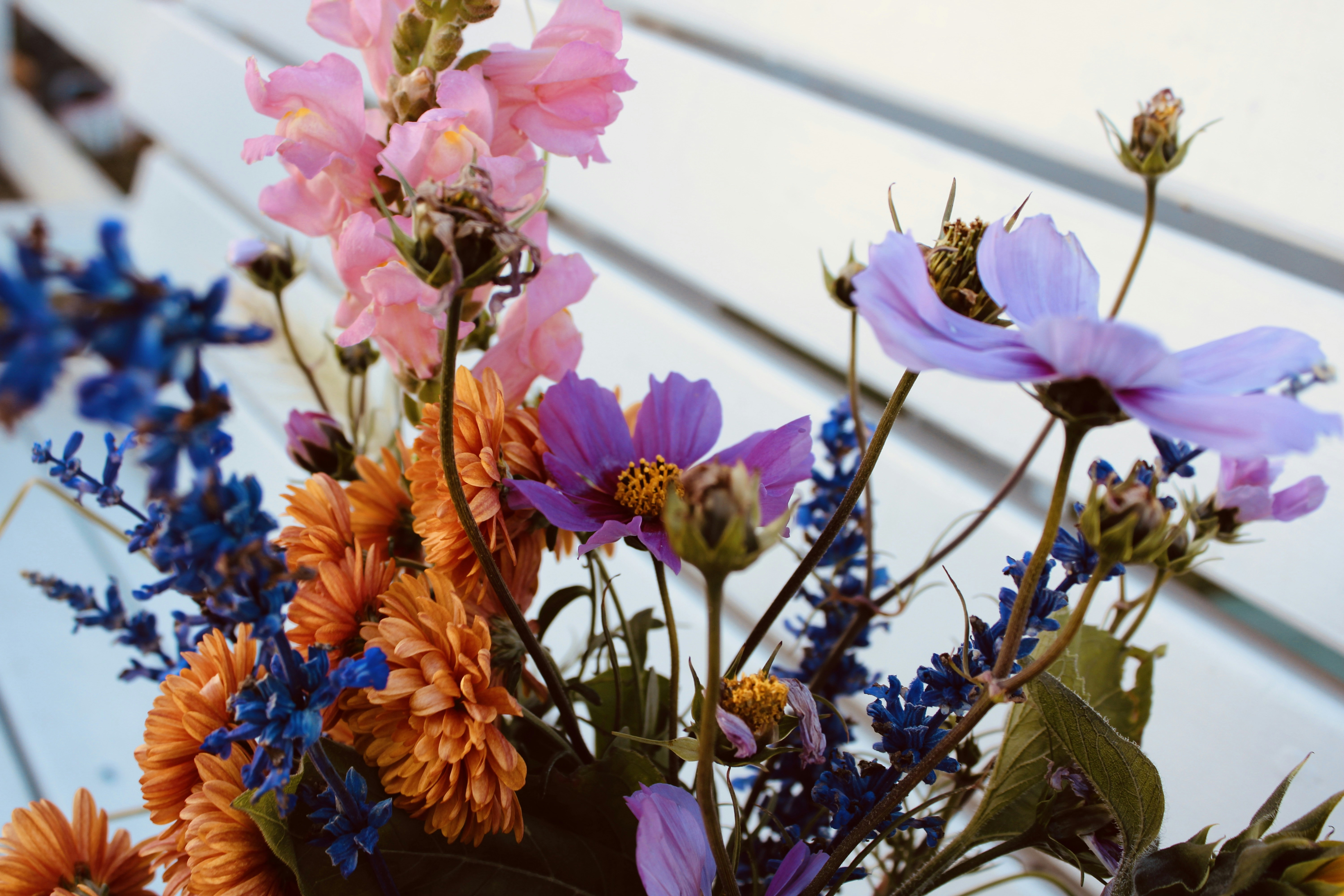 Photo by aubr33johnson