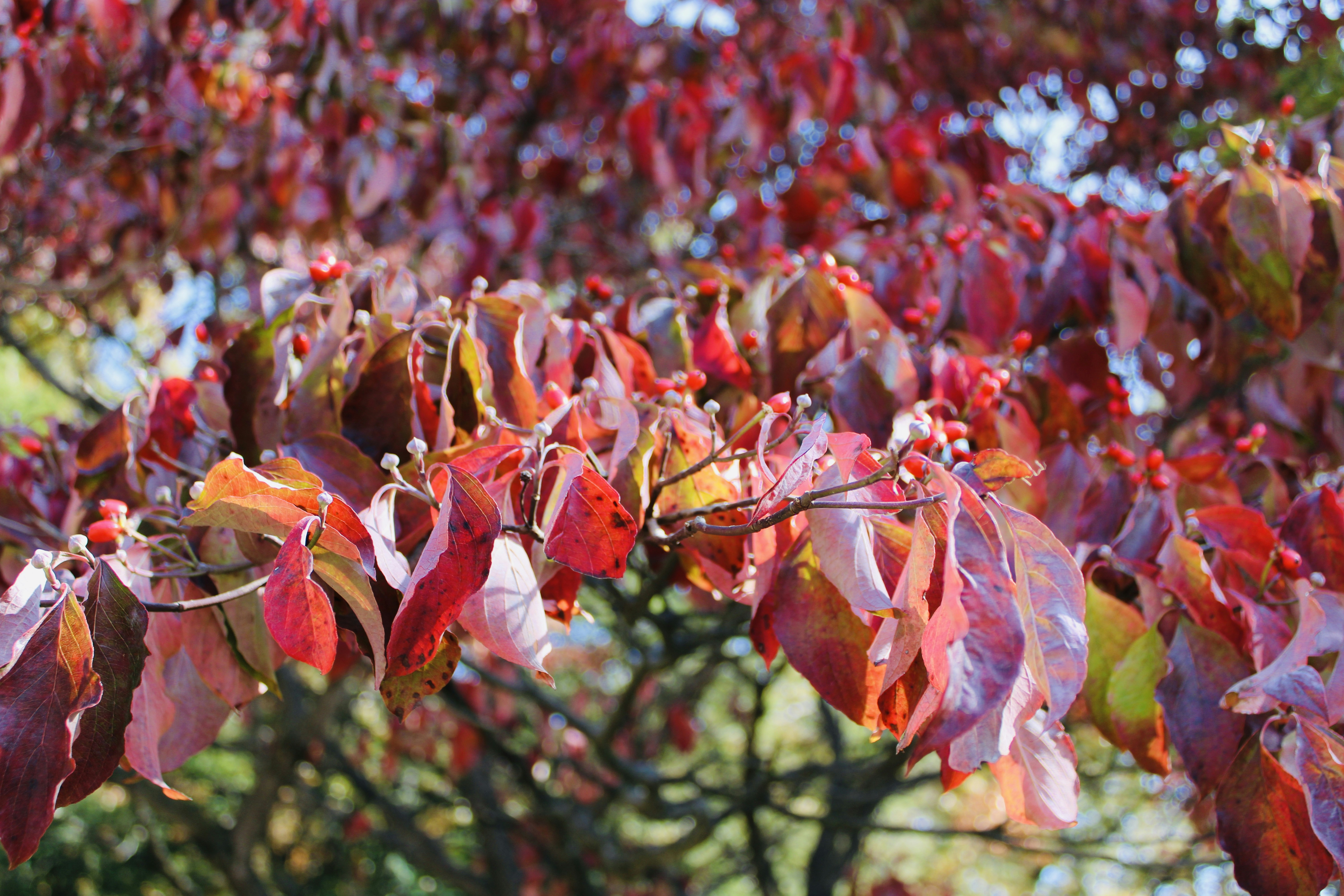 Photo by aubr33johnson