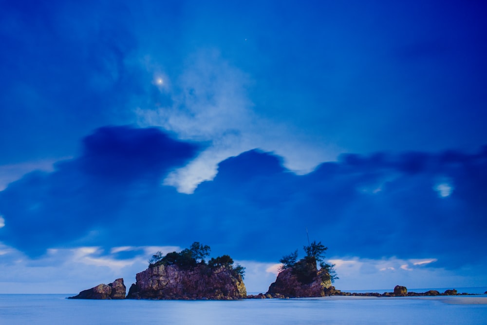 a group of trees on a beach