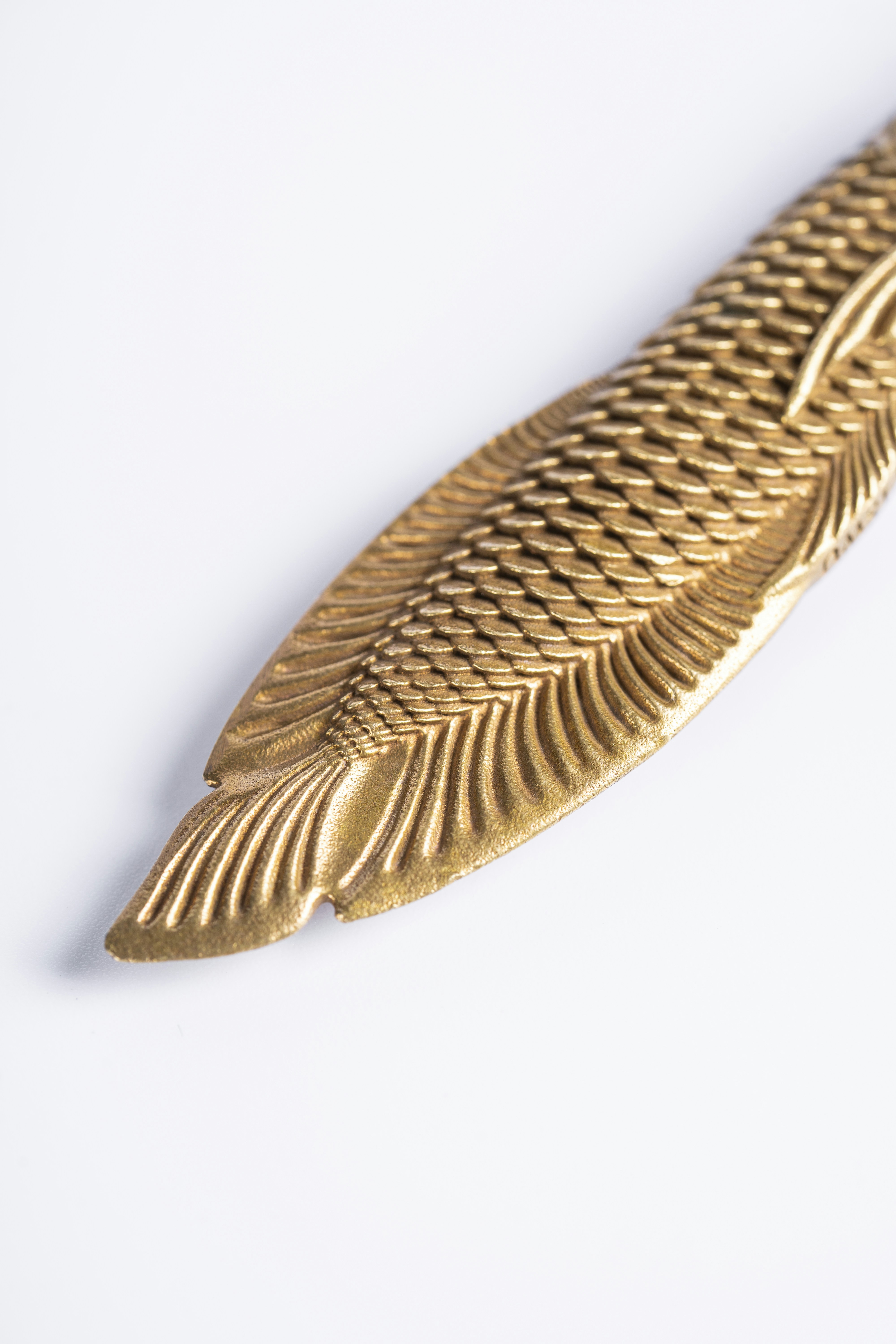 Photo by coppertistwu