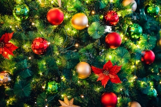 A festive Christmas tree decorated with poinsettias and twinkling lights