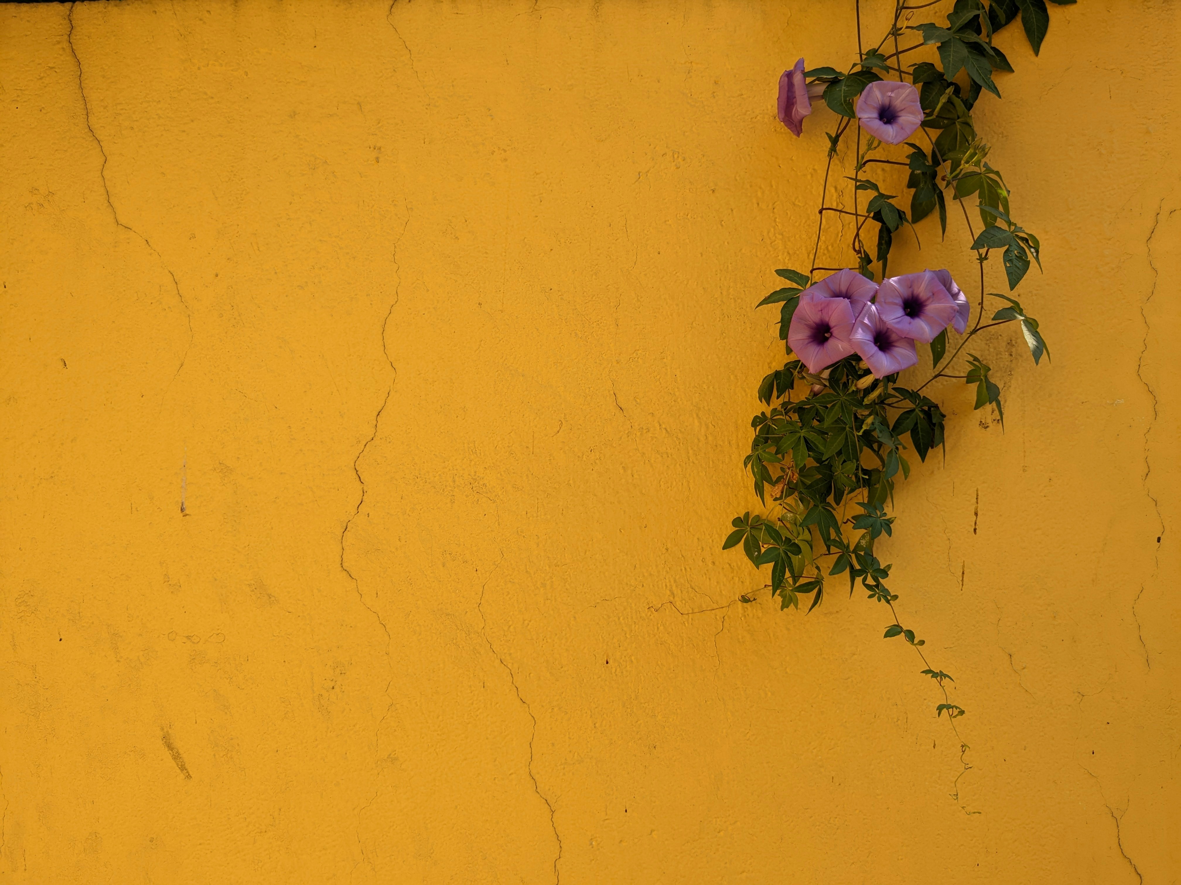 Photo by shubhamnikam