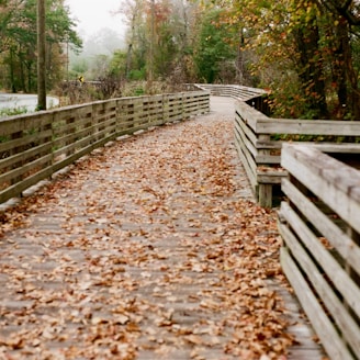 a wooden bridge with a railing