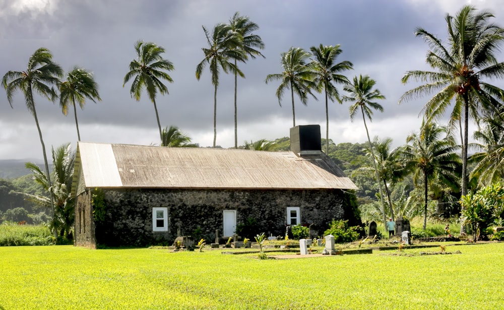 a house with palm trees