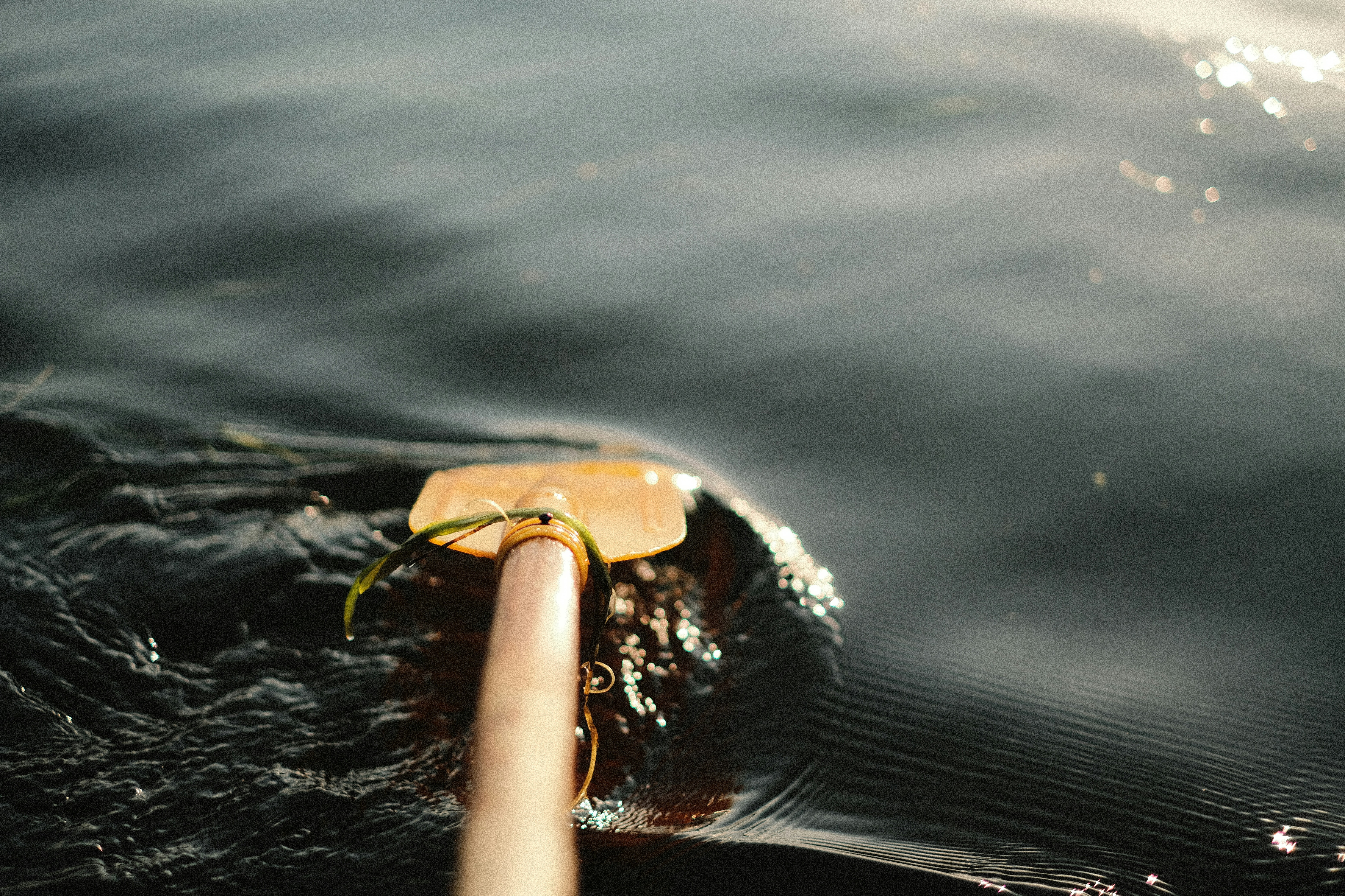 a snail on a person's finger