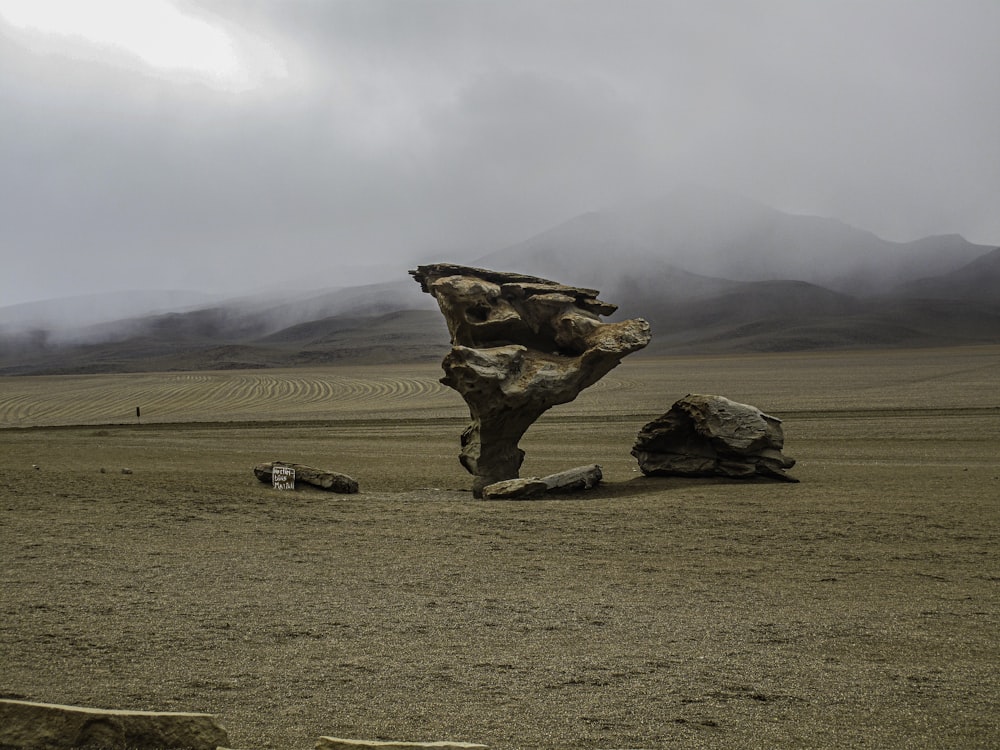 砂漠の大きな岩