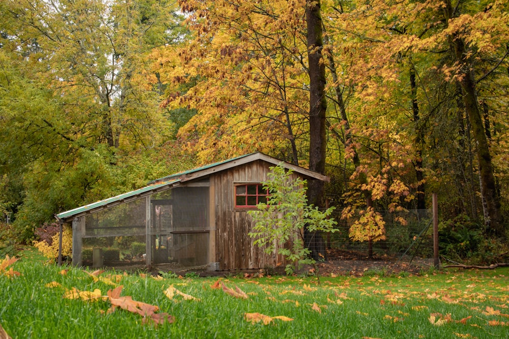 a small wooden house in a forest